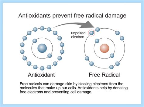  This is because antioxidants help fight free radical damage to cells and tissues that occurs with old age, reducing the risk of many serious illnesses