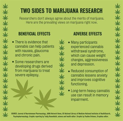  This is because chronic cannabis use will result in THC accumulating in fatty tissues, which will result in a slower elimination of metabolites