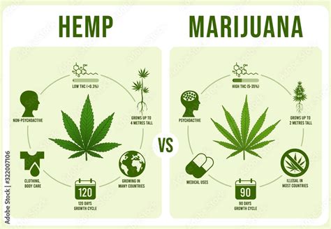  This is because hemp plants do not produce enough THC for it to be considered illegal, it is usually less than 0