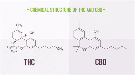 This is because of the way CBD is structured