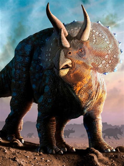  This is clearly a Triceratops