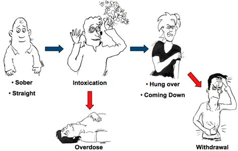  This is the process by which a person to the effects of drugs with repeated intake