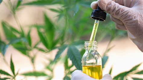  This is the same principle behind CBD oil