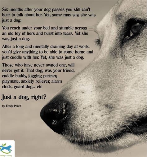  This is true for people and for dogs