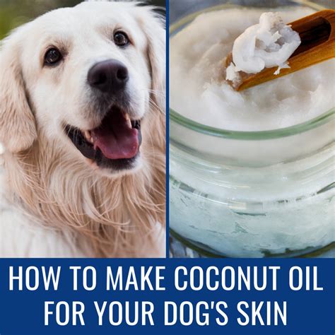  This is why giving your pets oil made specifically for them is always recommended