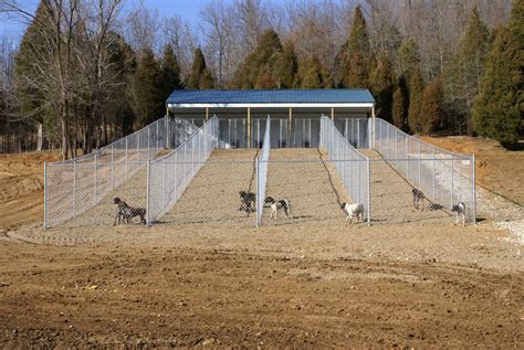  This kennel is owned by a nature-loving family with many pets, and even a garden with more than plant species on their land