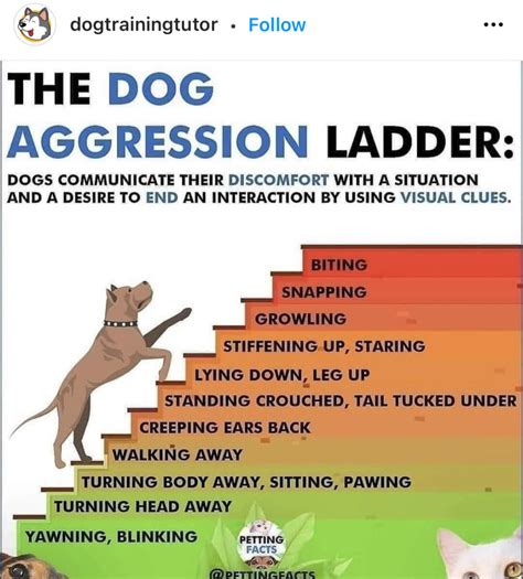  This makes it an appealing option for those seeking sustainable solutions for managing dog aggression
