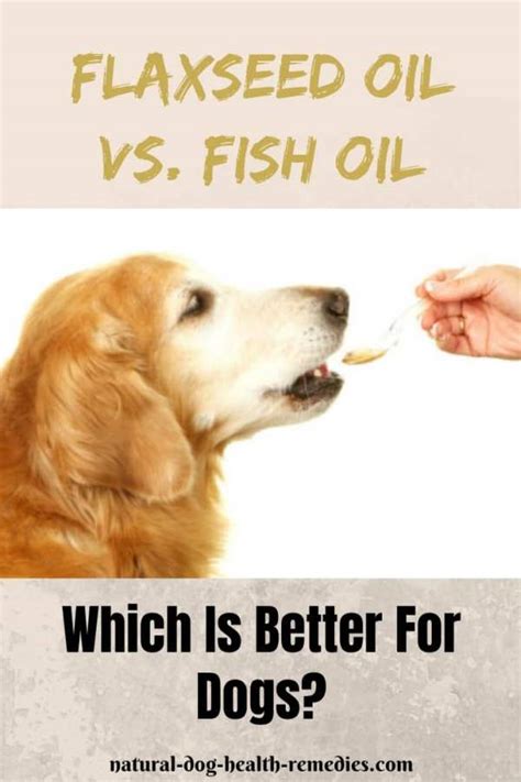  This makes it healthier for your pet than fish or flaxseed oil, which can cause allergic reactions in some pets