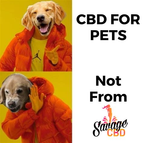  This may lead you to feel that the CBD did not work because the pet still has the issue when they stop taking it