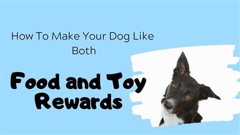 This means rewarding your dog with treats, praise, or other rewards when they do something you want them to do