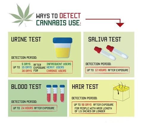  This means that they are particularly applied to detect immediate or very recent cannabis consumption, while urine tests normally detect the use of cannabis prior to the week and hair follicle tests detect consumption over the past 3 months in addition, this kind of test is increasing in popularity, as smoking or consuming marijuana in any form has expanded into the mainstream
