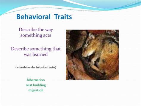  This means that they are unlikely to attack or develop aggressive behavioral traits
