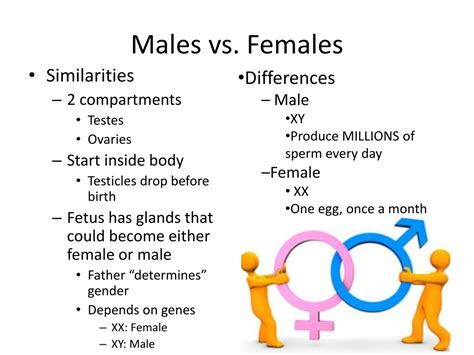  This phenomenon refers to differences in physical characteristics between male and female members of the same species
