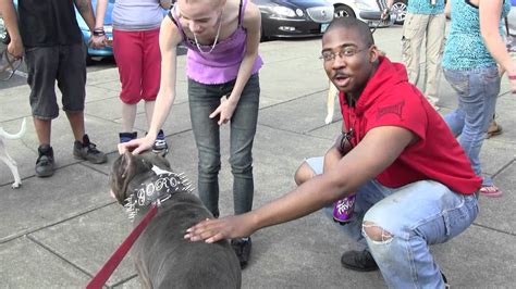  This pup may need a little bit of time for adjustment, though, when meeting strangers