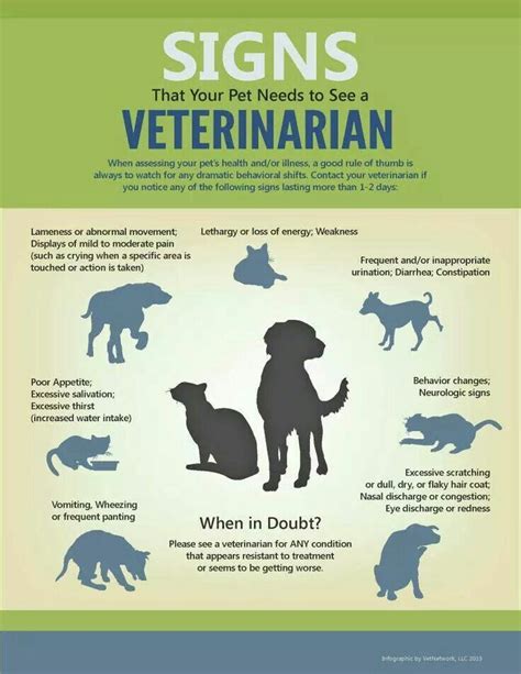  This results in less medicine reaching the parts of the body where your pet needs it most