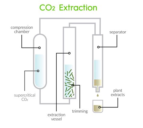  This type of extraction method creates what we call a raw extract, resulting in a Complete Spectrum CBD oil that is rich in all major cannabinoids, terpenes, and numerous other beneficial compounds that are naturally found in hemp