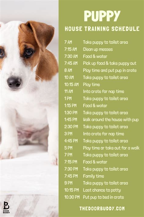  This type of schedule allows pup to be safely contained therefore not chewing, getting hurt or going potty in the house