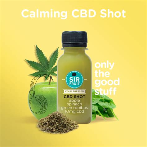  This way, the calming effects of CBD kick in just before your pup faces their fear and give them the best chance at remaining comfortable and relaxed throughout the experience