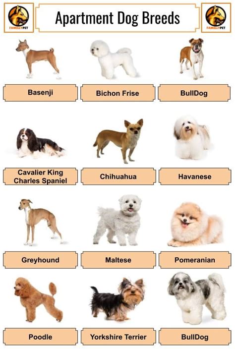  This website offers dog listings by breed, age, sex, and location