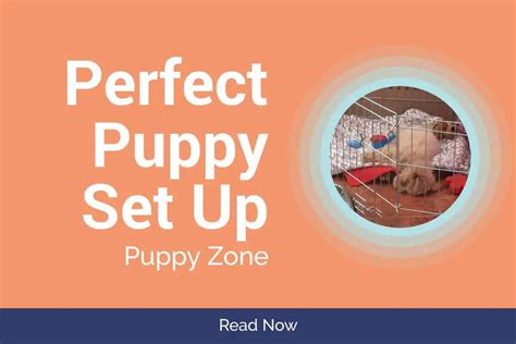 This will give you a good idea of the type of environment your puppy will be raised in