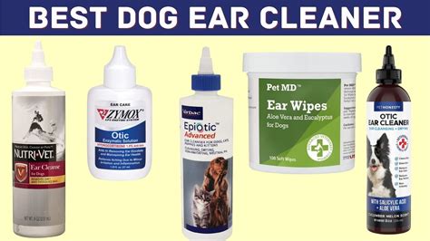  Though, coconut oil, colloidal silver, and any vet prescribed ear cleaner can be used as well