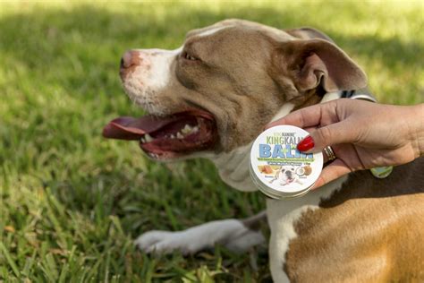  Though if your pets do suffer from certain chronic issues, King Kanine products would likely help them out