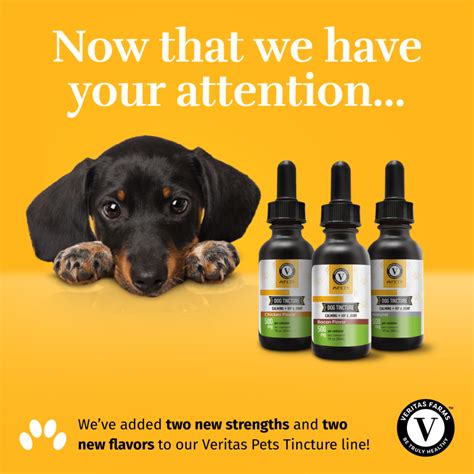  Tinctures: To give the oil to your dog, tinctures come in a vial with a dropper