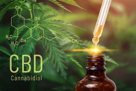  Tinctures are the most common form of administering CBD oils because they offer flexibility in dosages