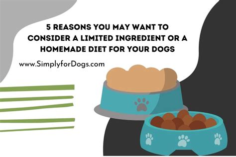  To create a homemade diet recipe specifically for your dog, it is preferable to consult a veterinarian who holds a board certification in veterinary nutrition