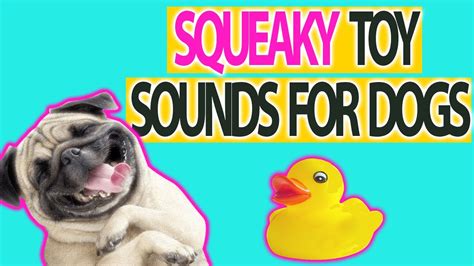  Toys that speak, make crazy noises or move in reaction to a dog
