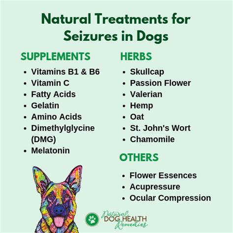  Traditional treatments for dogs with seizures are anti-convulsant or anti-seizure medications ASMs