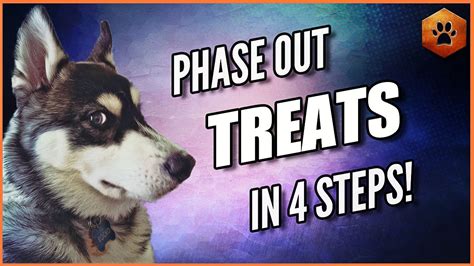  Treats are used as lures to get the dog in the crate and rewards to enforce good behavior, so you must get some ready before you introduce your dog to his crate