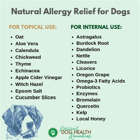  Try Home Remedies If your dog has other cold-like symptoms or you suspect seasonal allergies, here are some remedies to help them with congestion: Antihistamines can help dogs the same way they help people