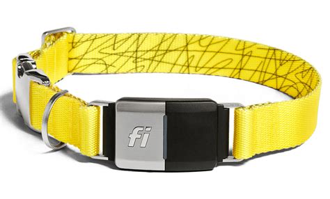  Try the Fi Dog Collar today! The link has been copied! You might also like
