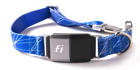  Try the Fi Dog Collar today! You might also like
