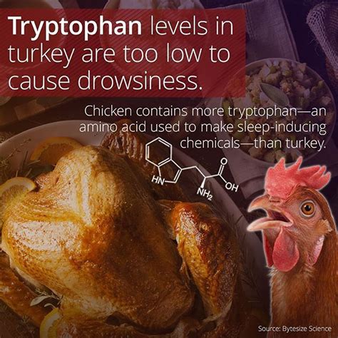  Tryptophan Like the feeling you get after a big Thanksgiving meal, Tryptophan promotes better sleep quality and provides relief from occasional anxiety