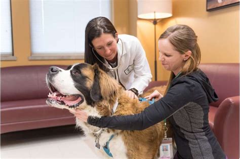  Two of nine dogs in the treatment group showed a fifty percent or greater reduction in epileptic seizure events 