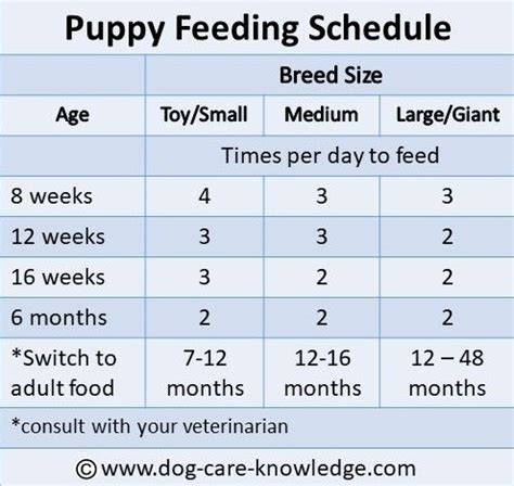  Typically, puppies in this age bracket should be fed 3 times a day