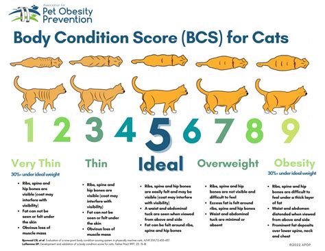  Under normal conditions, your dog or cat