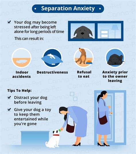  Unfortunately, this can result in many health and behavioral problems that your dog might end up having
