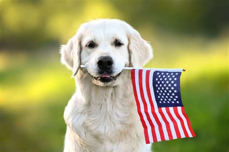  United States Pets and Animals