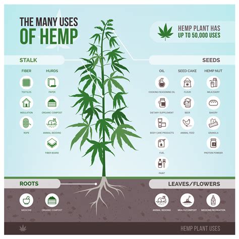 Unlike marijuana, industrial hemp cannot contain more than 0