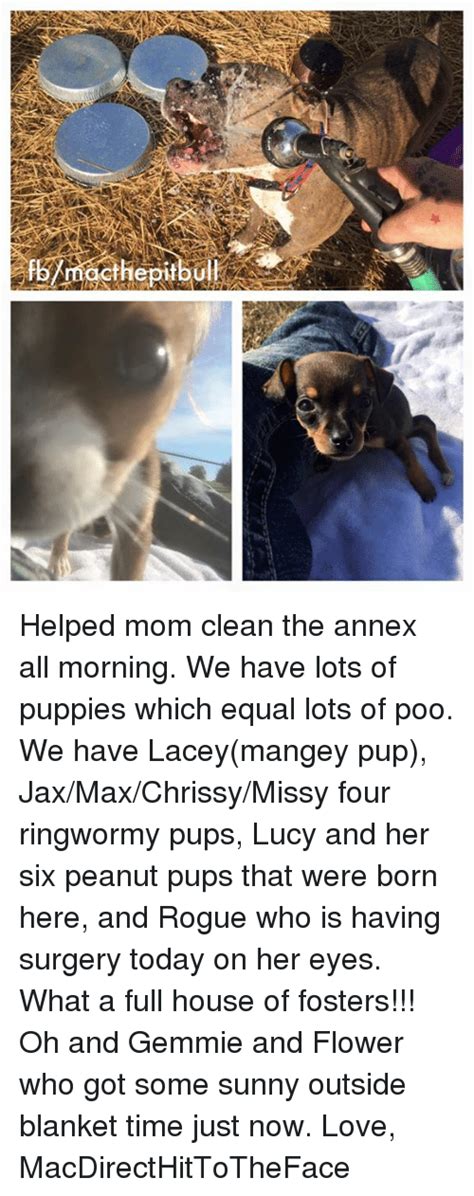  Up to this point, it is strictly the mothers and us Donna, Lacey, and Bick who have handled the pups with lots of hand sanitizing before and after , and they have been kept in their kennel