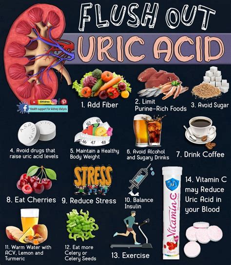  Uric acid is a waste product that is normally eliminated from the body through the kidneys