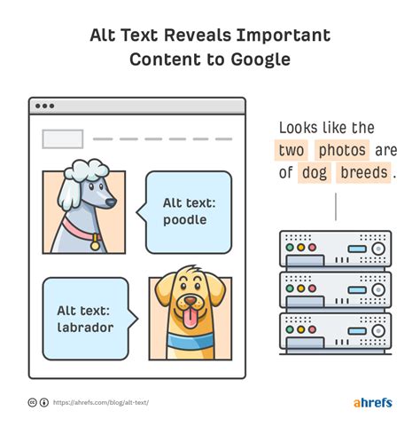 Use Alt-Text to Optimize your Images Another way to optimize your website is to focus on the alt text