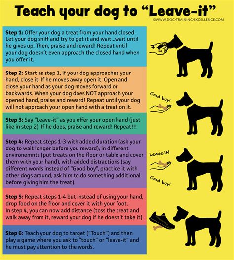  Use dog commands like Sit, Stay, and Down