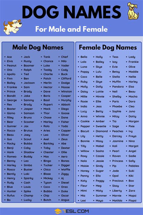  Use this list for name ideas whether you dog is male or female, big or small
