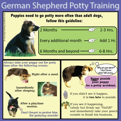  Use this to your advantage! Tips for great German Shepherd puppy recall training: Begin calling your puppy in as many locations inside as you can