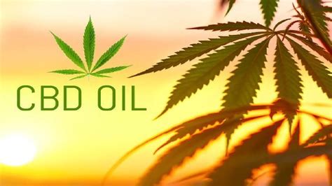  Using CBD consistently is especially important