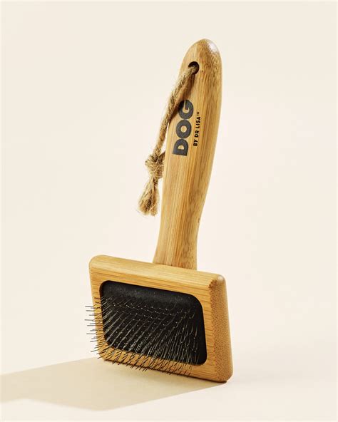  Using a pin brush and slicker brush will help remove any tangles and keep your dog
